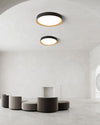 WOMO LED Deckenleuchte Flach Rund Skandinavisch-WM1017 thumbnail