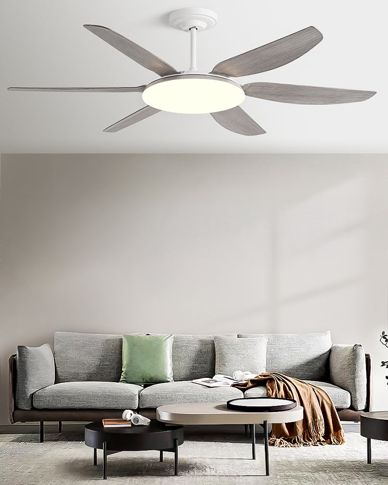 WOMO 6 Blade Large Ceiling Fan Lamp-WM5216