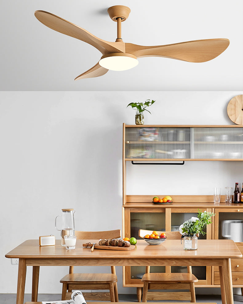 WOMO 52 Inch Modern Ceiling Fan Lamp-WM5224