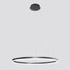 WOMO Ring LED Pendelleuchte-WM2030 thumbnail