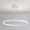 WOMO Ring LED Pendelleuchte-WM2030 thumbnail
