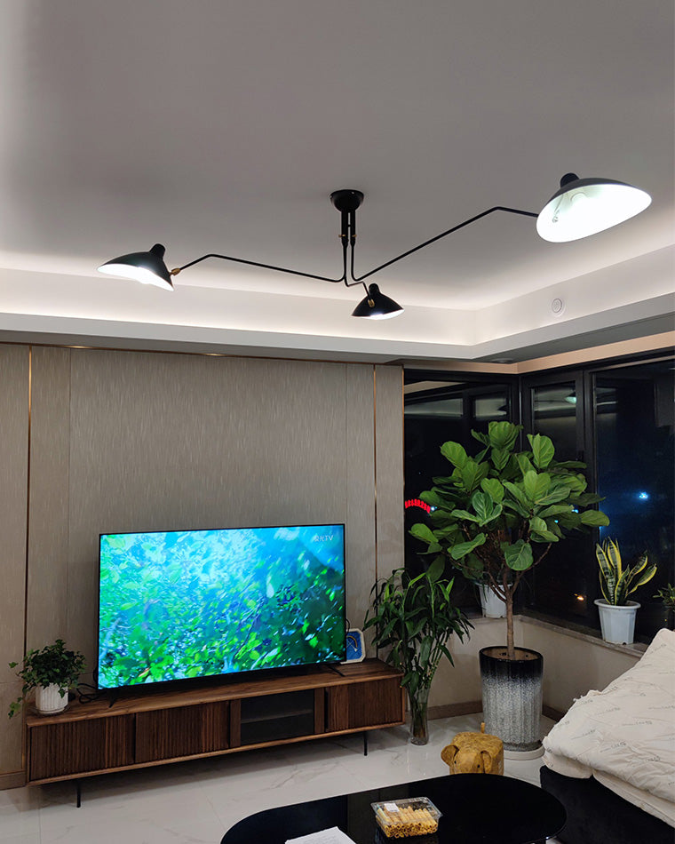 WOMO Arms Semi-Flush Mount Light-WM2057
