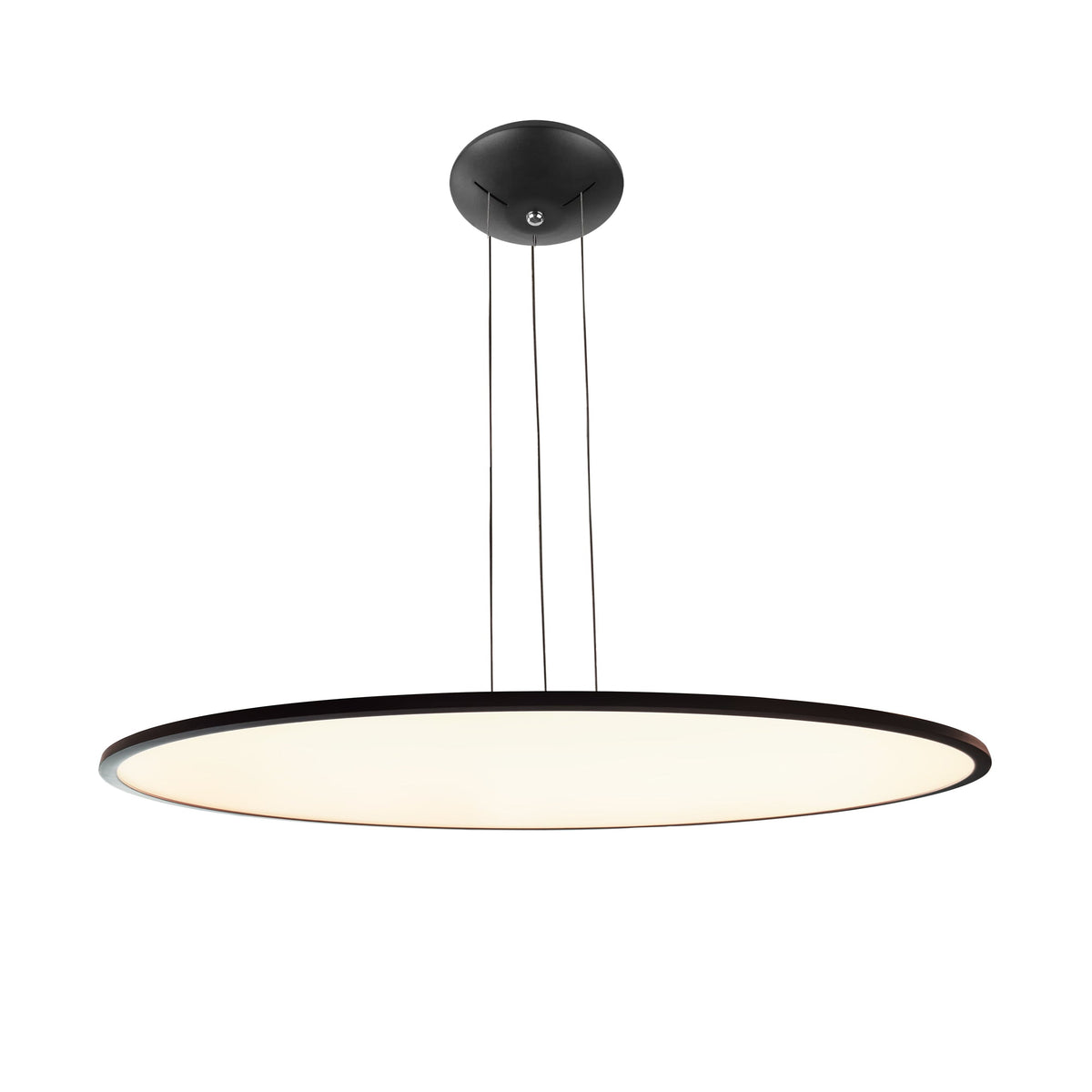 WOMO Large Disc Pendant Light -WM2911