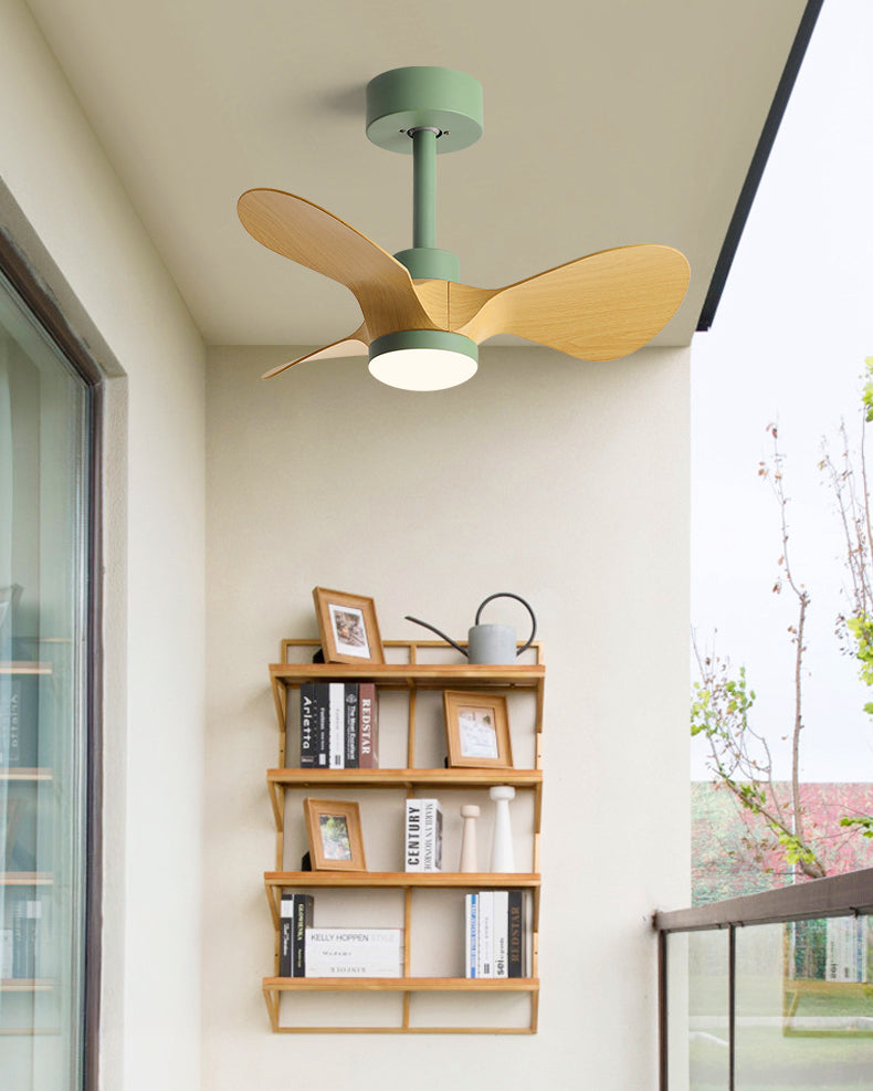 WOMO 24 inch Small Ceiling Fan Lamp- WM5172