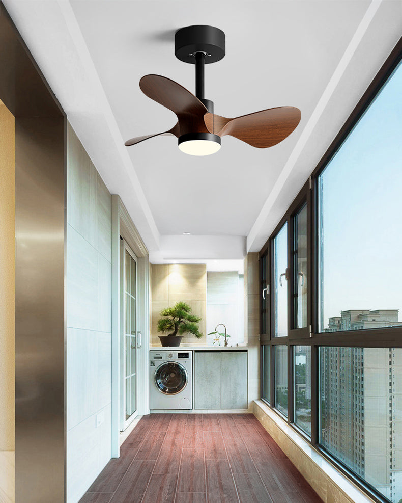 WOMO 24 inch Small Ceiling Fan Lamp- WM5172