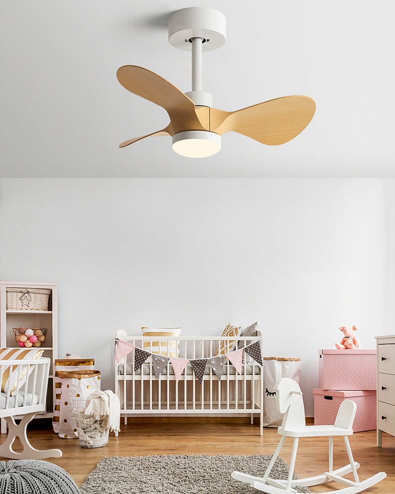 WOMO 24 inch Small Ceiling Fan Lamp- WM5172