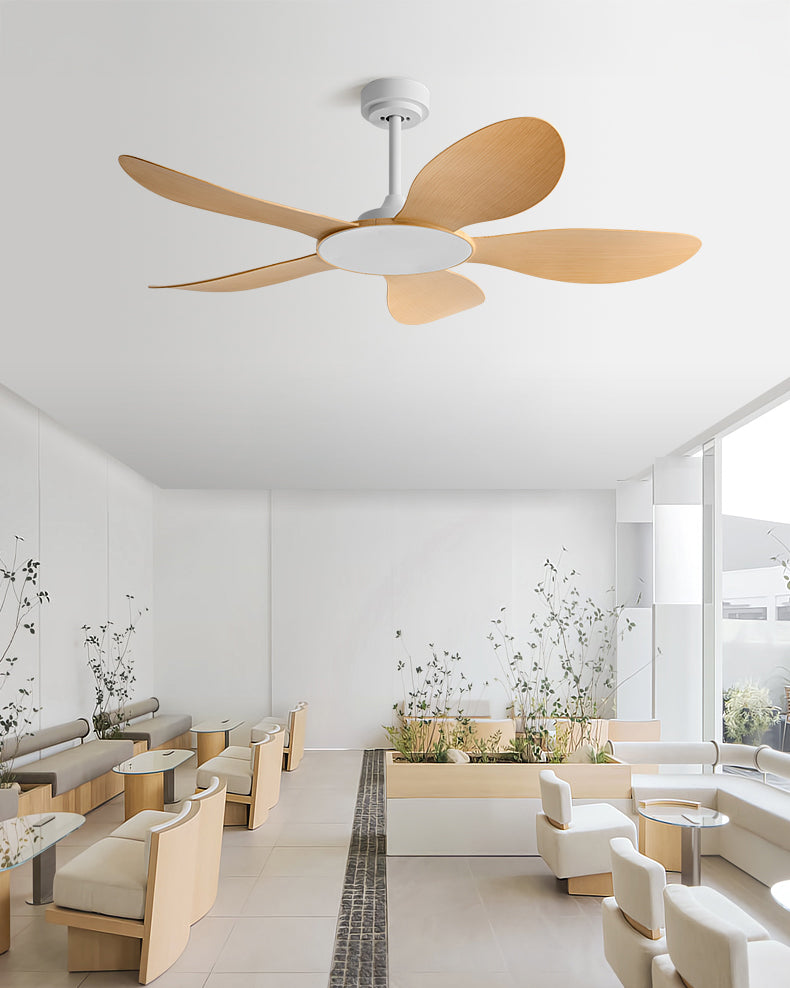 WOMO Modern Ceiling Fan - WM5168