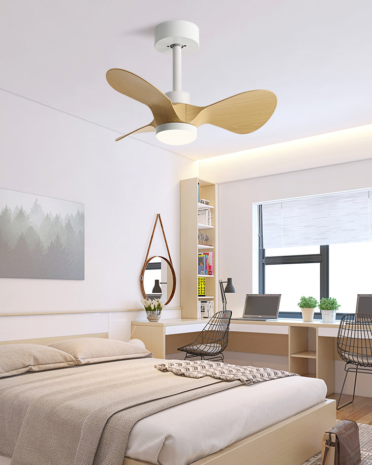 WOMO 24 inch Small Ceiling Fan Lamp- WM5172