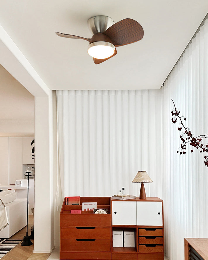WOMO 22 Inch Low Profile Ceiling Fan Lamp - WM5148