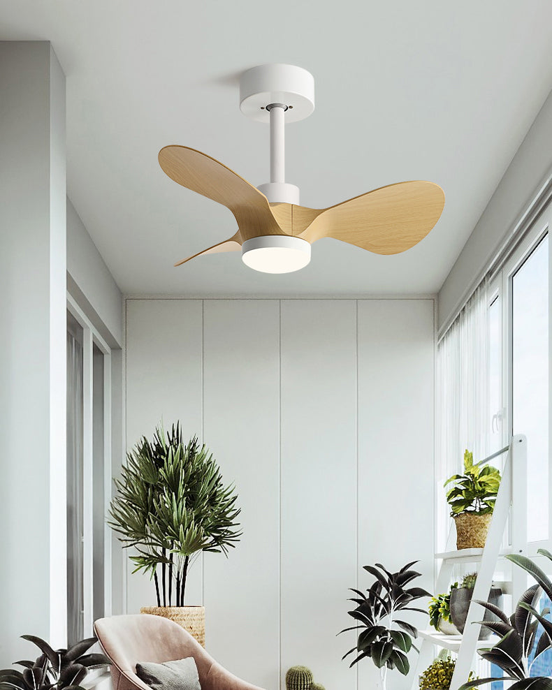 WOMO 24 inch Small Ceiling Fan Lamp- WM5172
