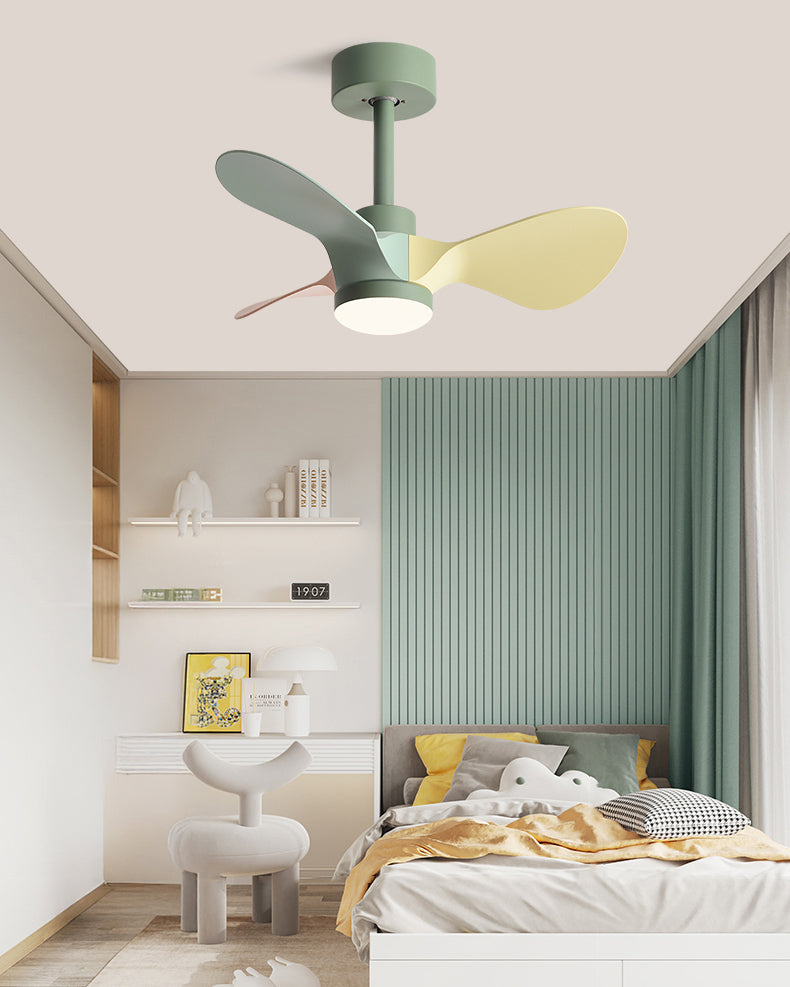 WOMO 24 inch Small Ceiling Fan Lamp- WM5172