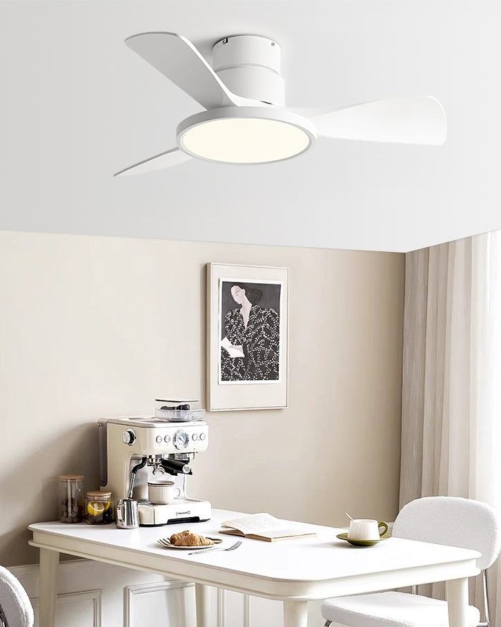 WOMO 3 Blade Low Profile Ceiling Fan Lamp - WM5170