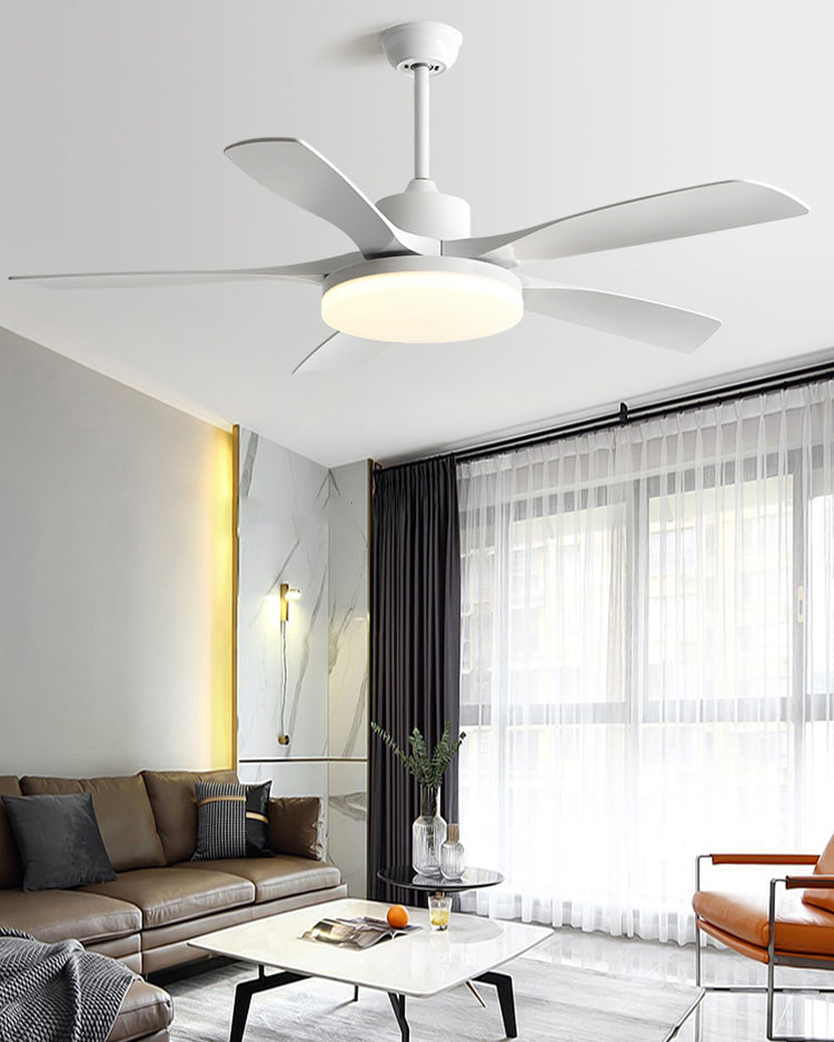 WOMO 60 inch Large Ceiling Fan Lamp - WM5179
