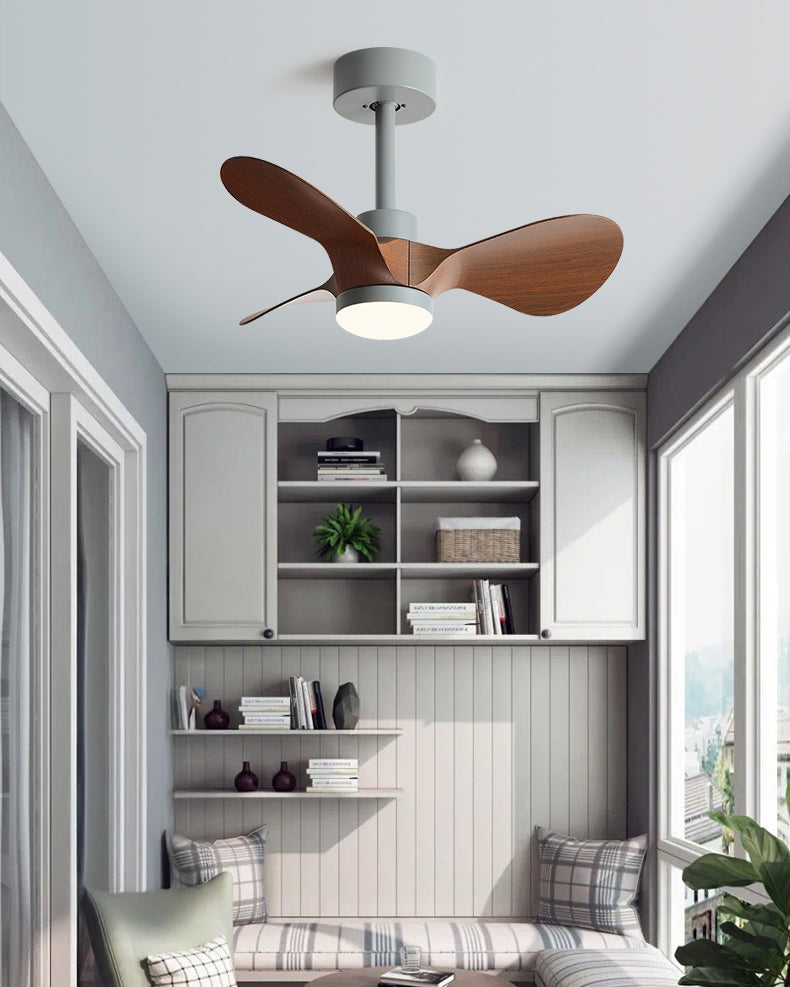 WOMO 24 inch Small Ceiling Fan Lamp- WM5172