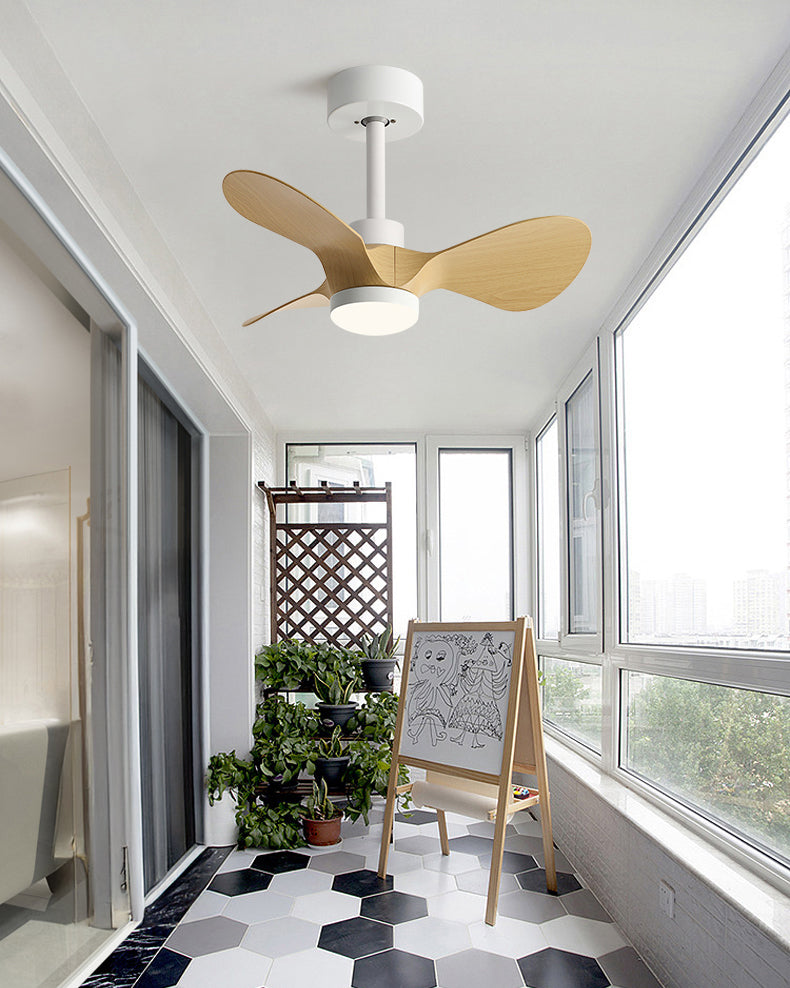 WOMO 24 inch Small Ceiling Fan Lamp- WM5172