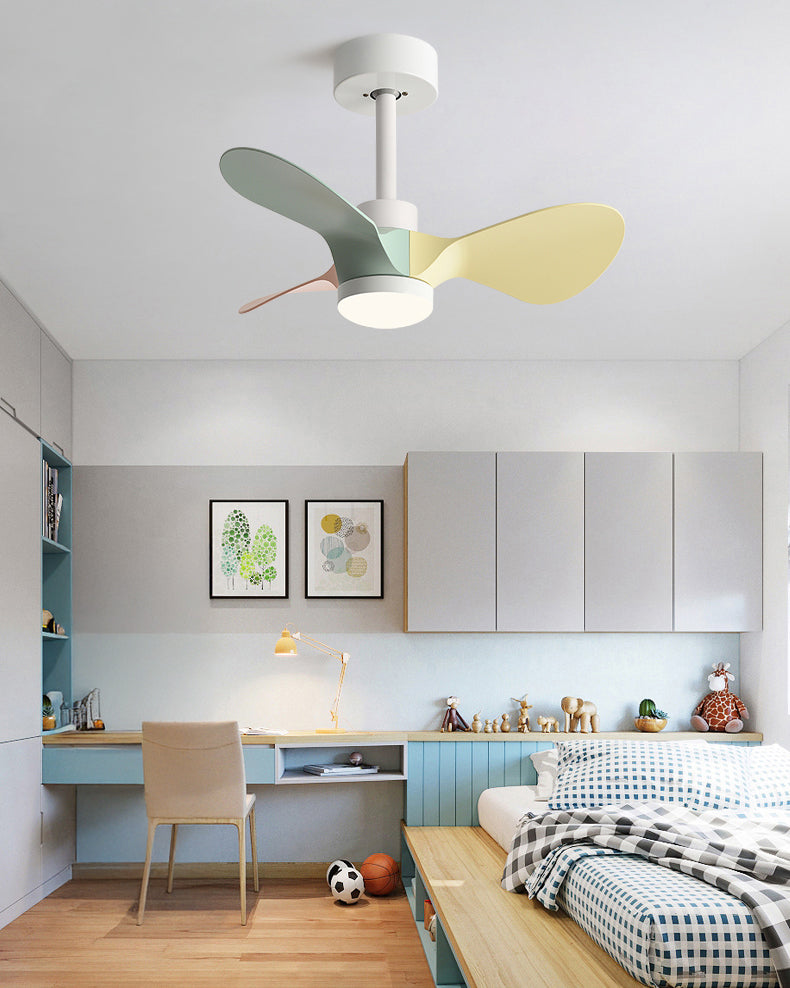 WOMO 24 inch Small Ceiling Fan Lamp- WM5172