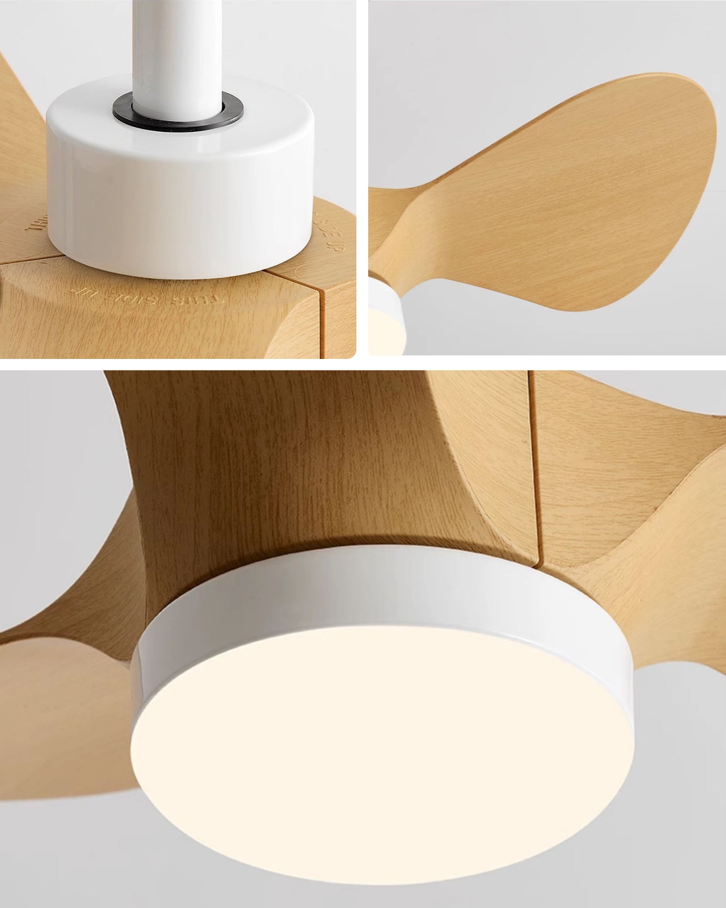 WOMO 24 inch Small Ceiling Fan Lamp- WM5172