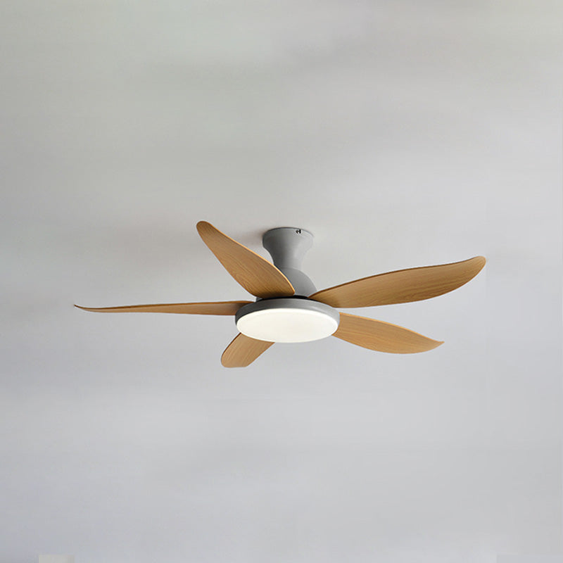 WOMO Flat, Modern Ceiling Fan Lamp-WM5062