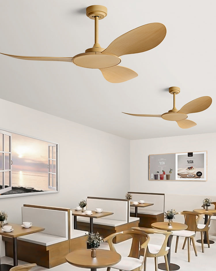 WOMO Modern Ceiling Fan - WM5168