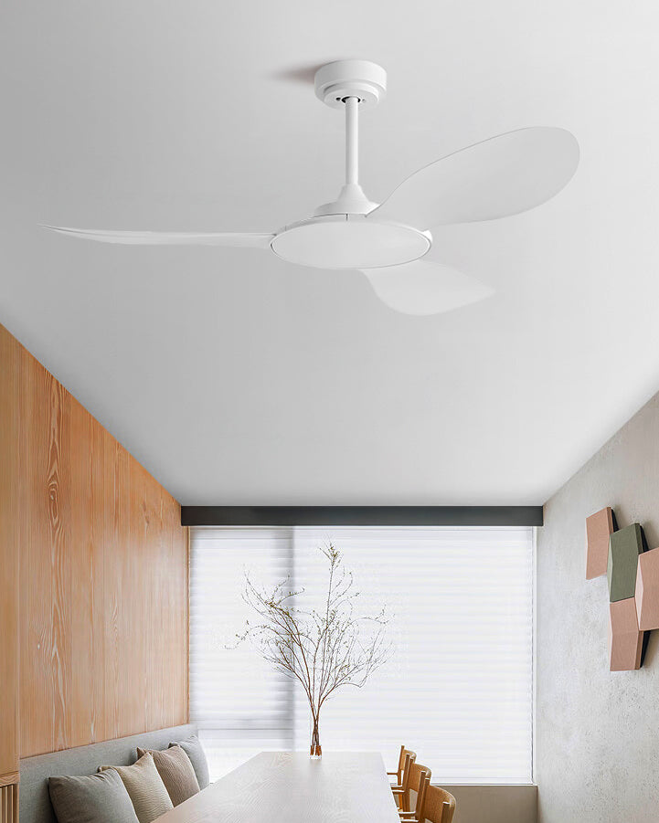 WOMO Modern Ceiling Fan - WM5168