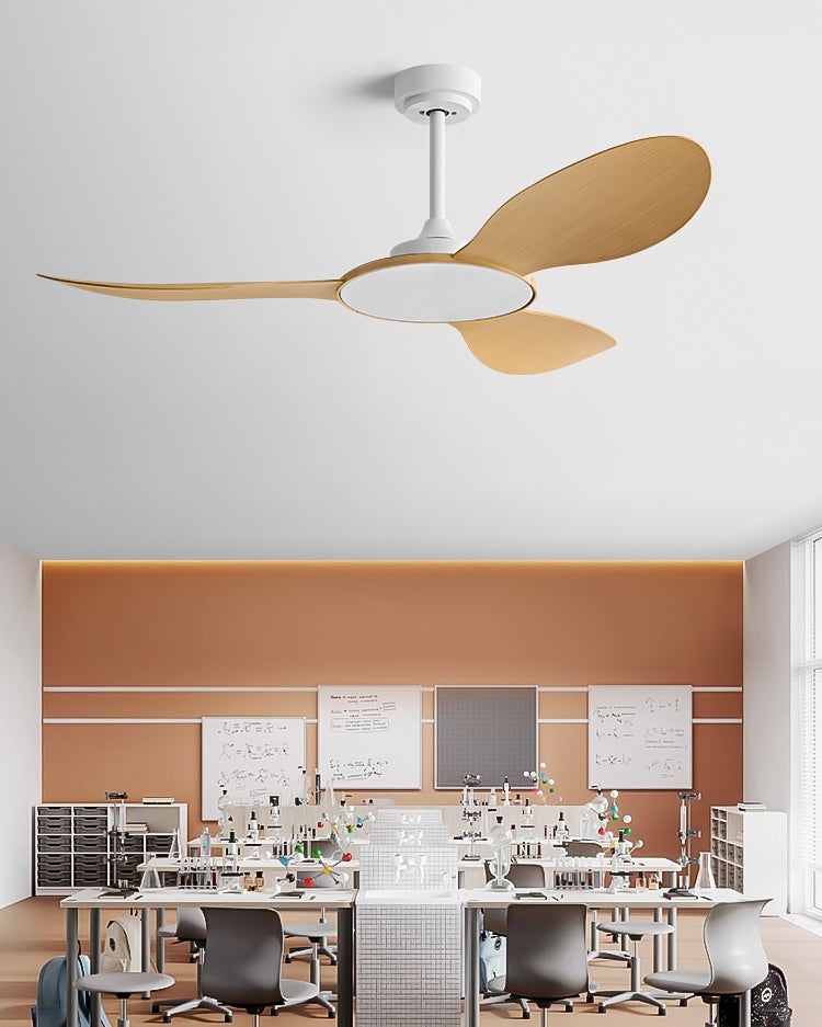 WOMO Modern Ceiling Fan - WM5168