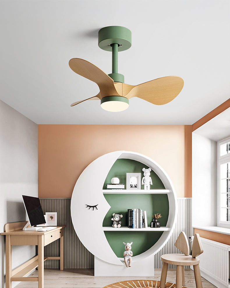 WOMO 24 inch Small Ceiling Fan Lamp- WM5172