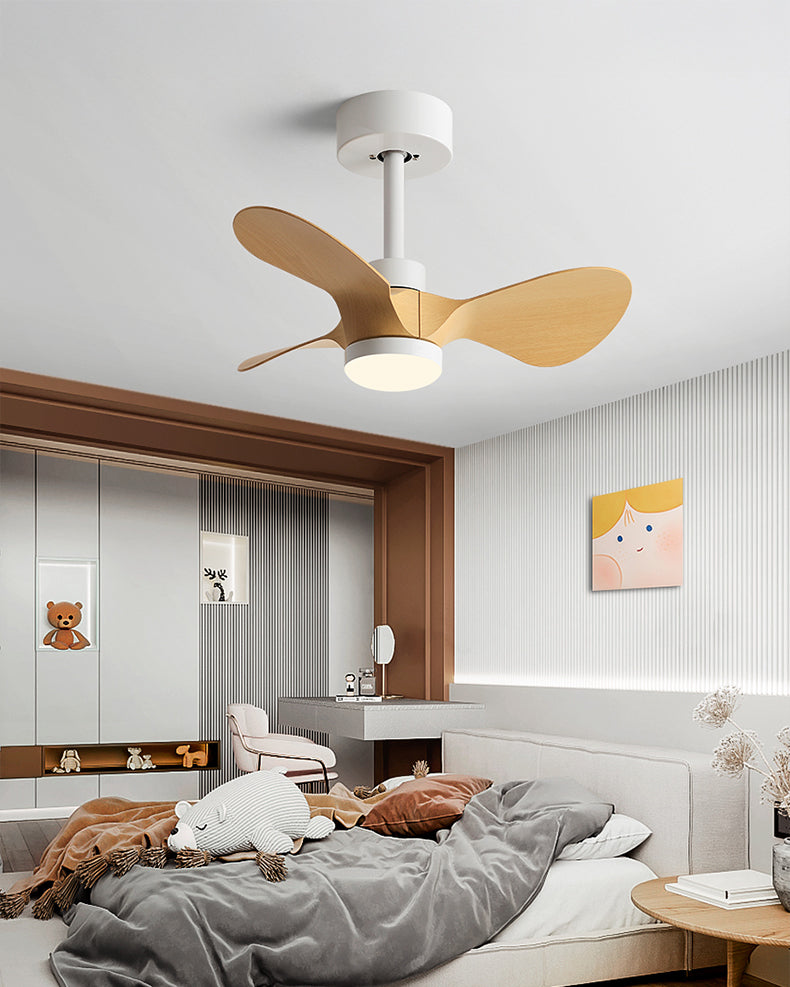 WOMO 24 inch Small Ceiling Fan Lamp- WM5172