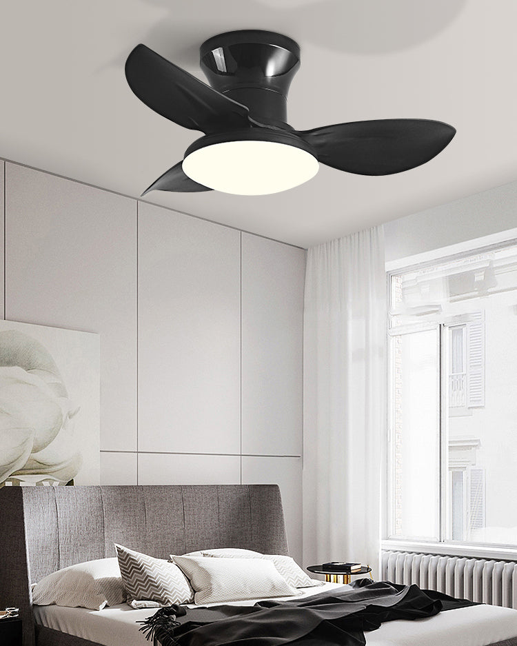 WOMO Small Ceiling Fan Lamp - WM5175