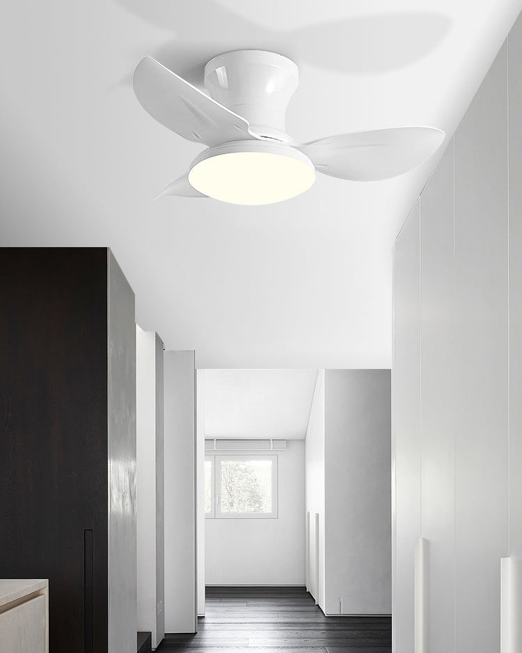 WOMO Small Ceiling Fan Lamp - WM5175