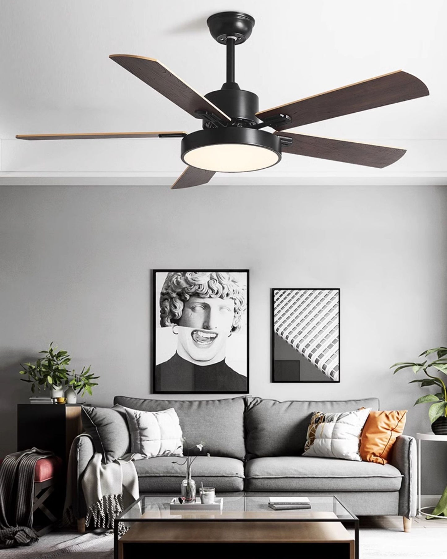 WOMO 5 Blade Ceiling Fan Lamp - WM5177