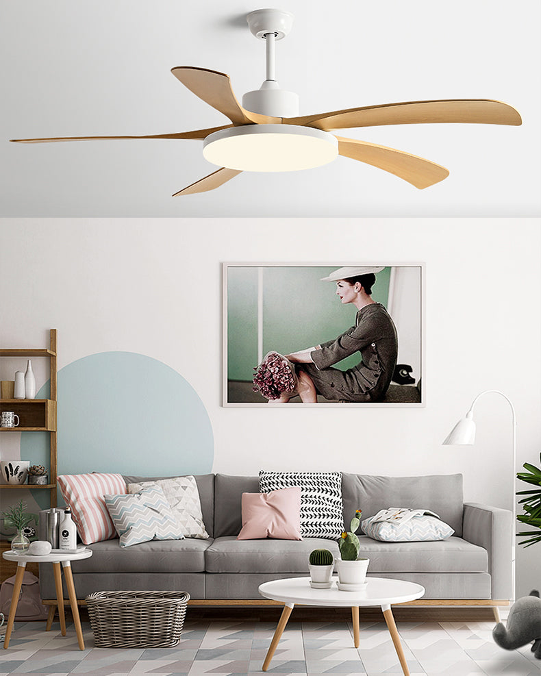 WOMO 60 inch Large Ceiling Fan Lamp - WM5179