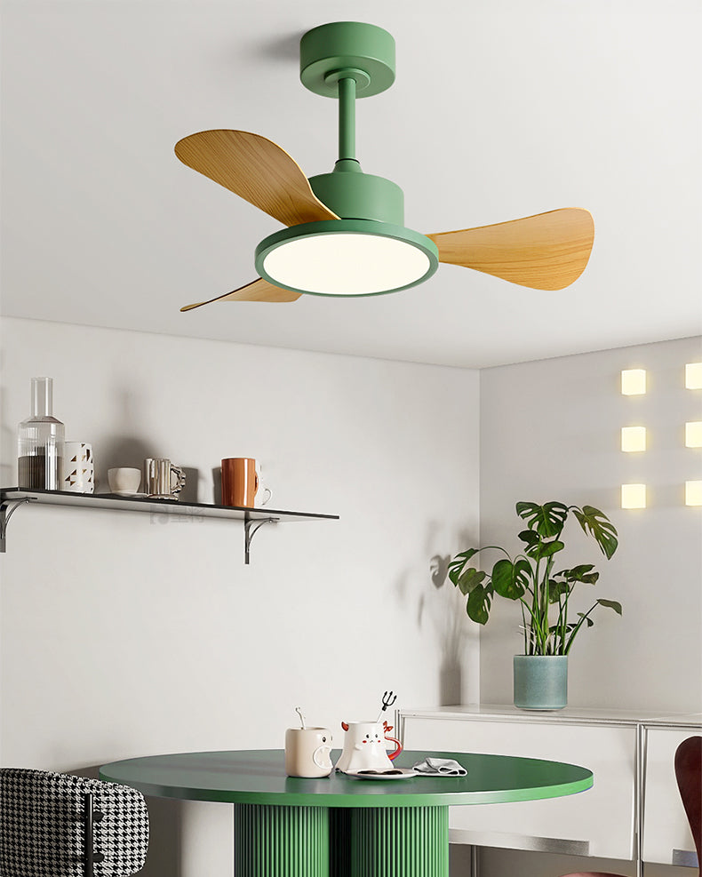 WOMO 30 inch Ceiling Fan Lamp - WM5181