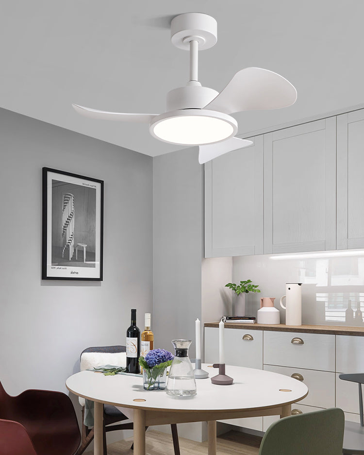 WOMO 30 inch Ceiling Fan Lamp - WM5181
