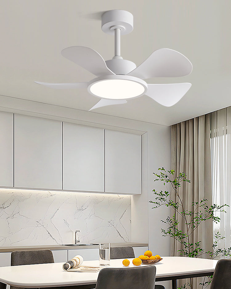 WOMO 30 inch Ceiling Fan Lamp - WM5181