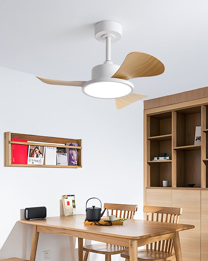 WOMO 30 inch Ceiling Fan Lamp - WM5181