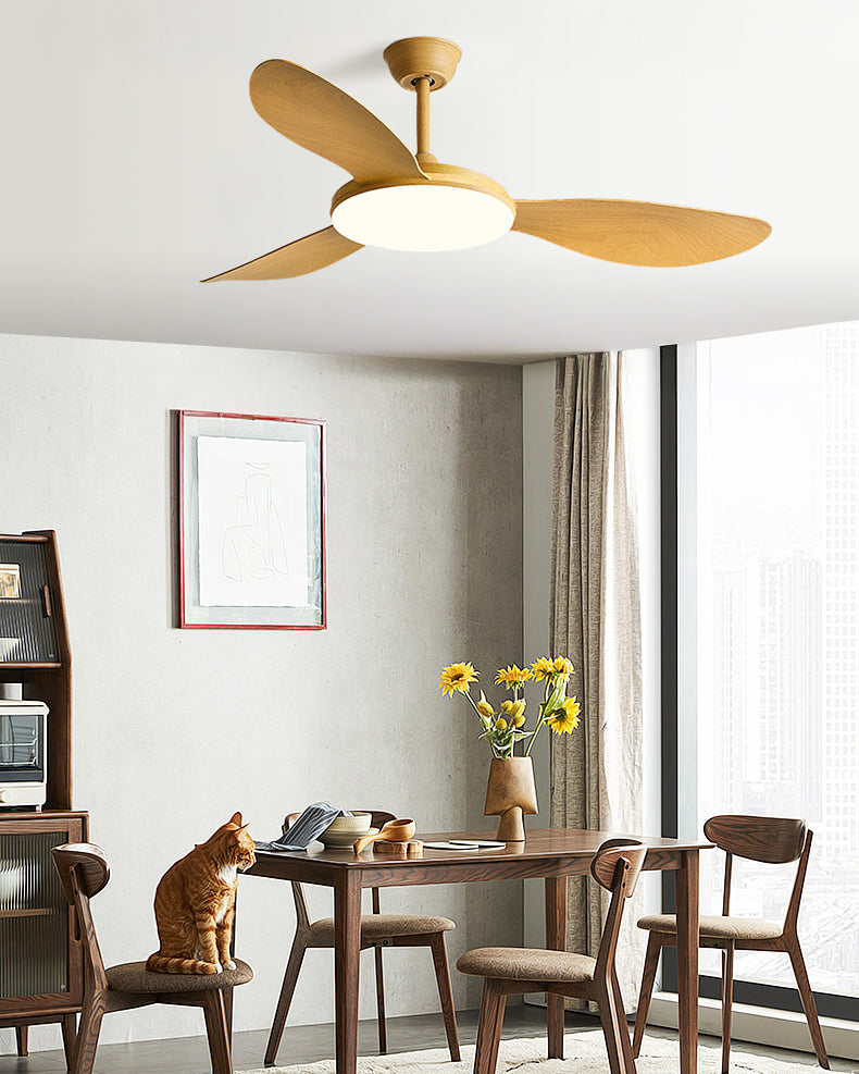 WOMO Modern Ceiling Fan Lamp - WM5192