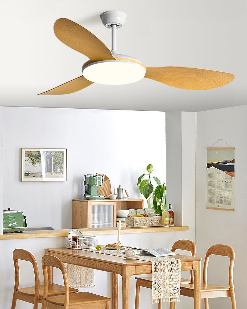 WOMO Modern Ceiling Fan Lamp - WM5192