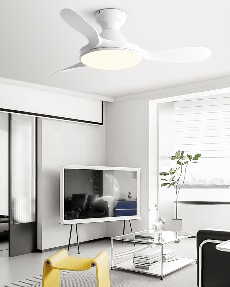 WOMO Large Low Profile Ceiling Fan Lamp - WM5195