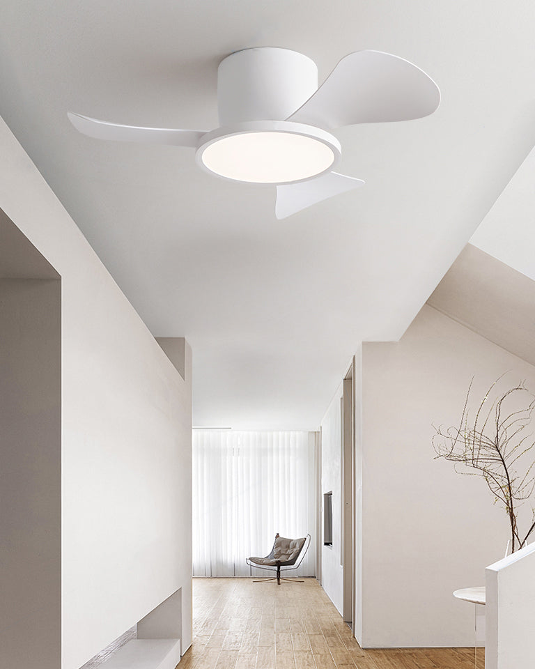 WOMO 30 Inch Ceiling Fan Lamp - WM5197