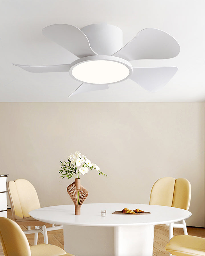 WOMO 30 Inch Ceiling Fan Lamp - WM5197