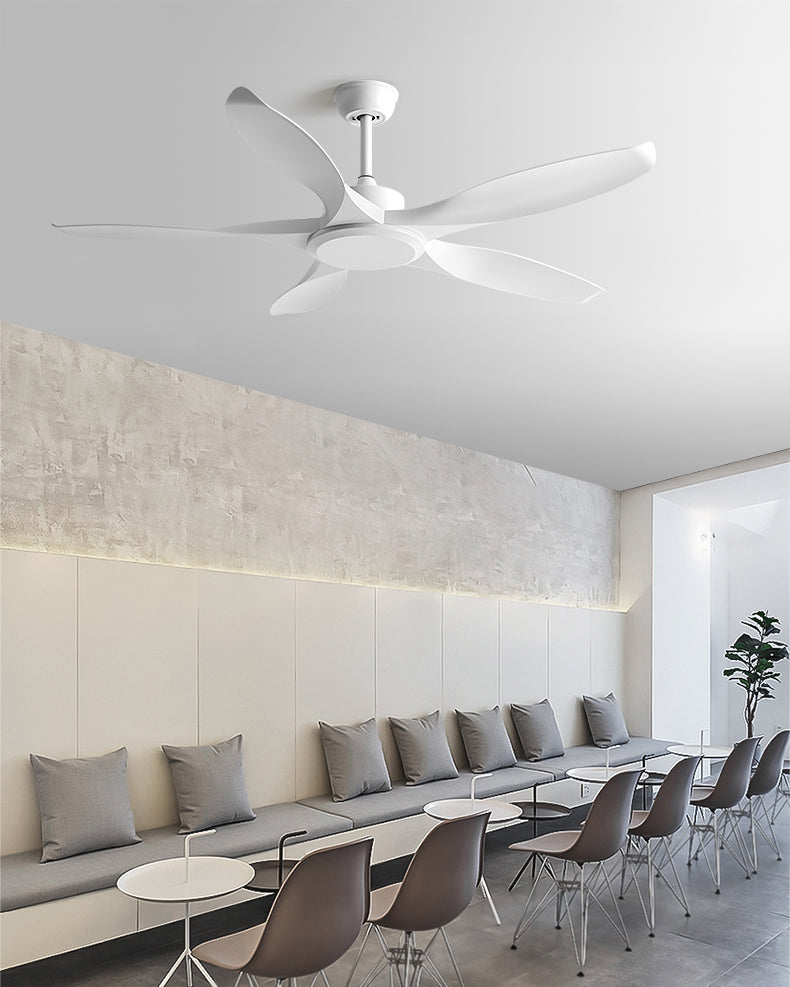 WOMO Modern Ceiling Fan - WM5203