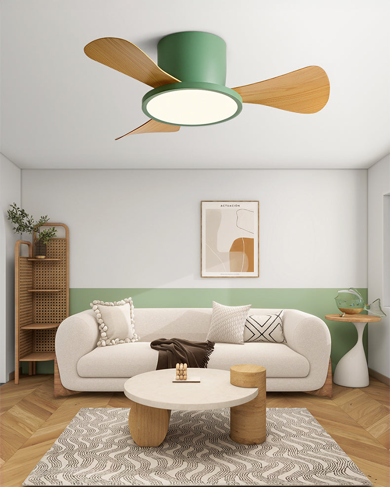 WOMO 30 Inch Low Profile Ceiling Fan Lamp-WM5205