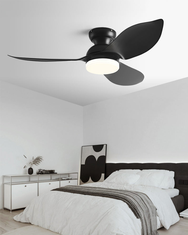 WOMO 38 Inch Low Profile Ceiling Fan Lamp-WM5219