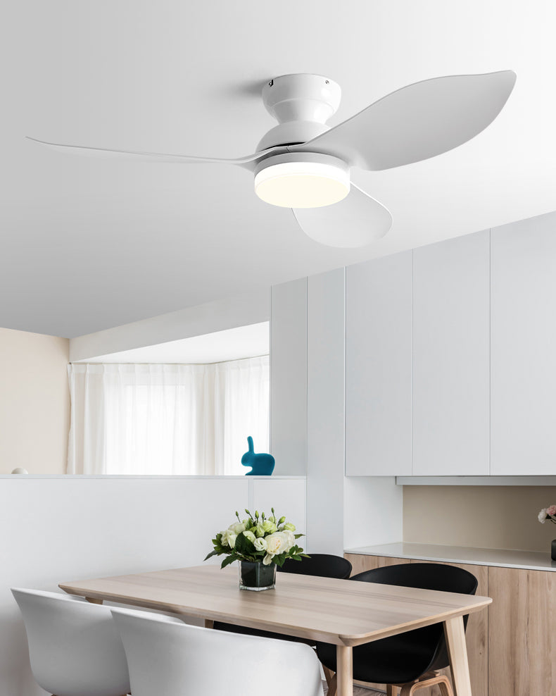 WOMO 38 Inch Low Profile Ceiling Fan Lamp-WM5219