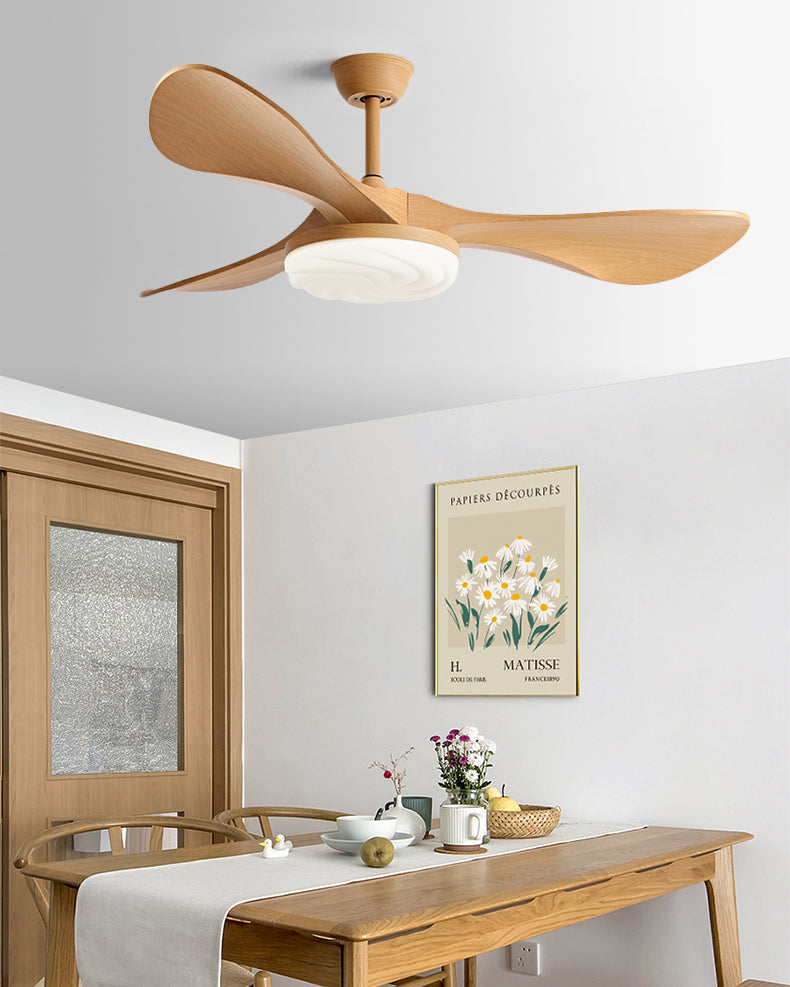 WOMO Modern Ceiling Fan Lamp-WM5222