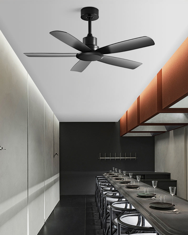 WOMO Modern Ceiling Fan - WM5231