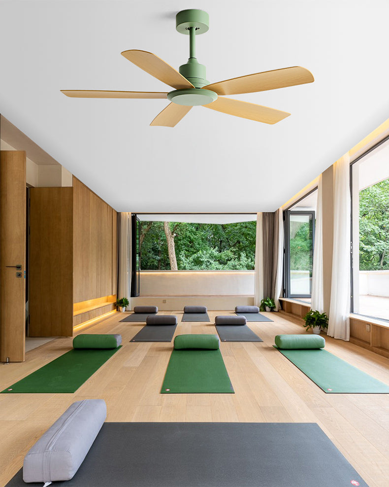 WOMO Modern Ceiling Fan - WM5231