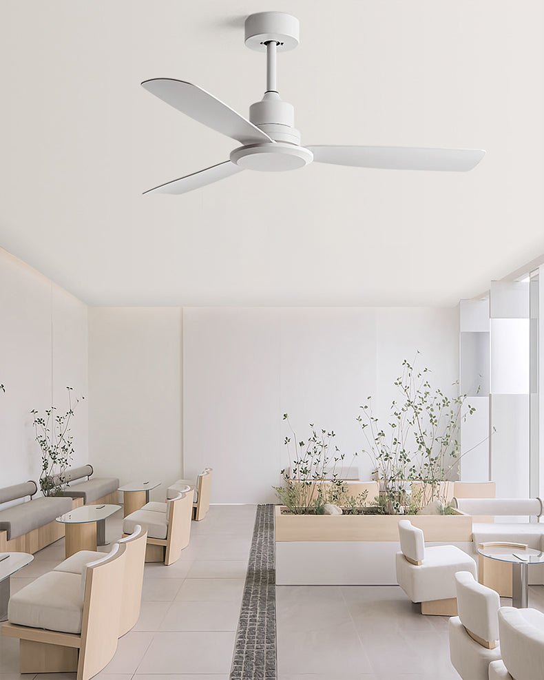 WOMO Modern Ceiling Fan - WM5231