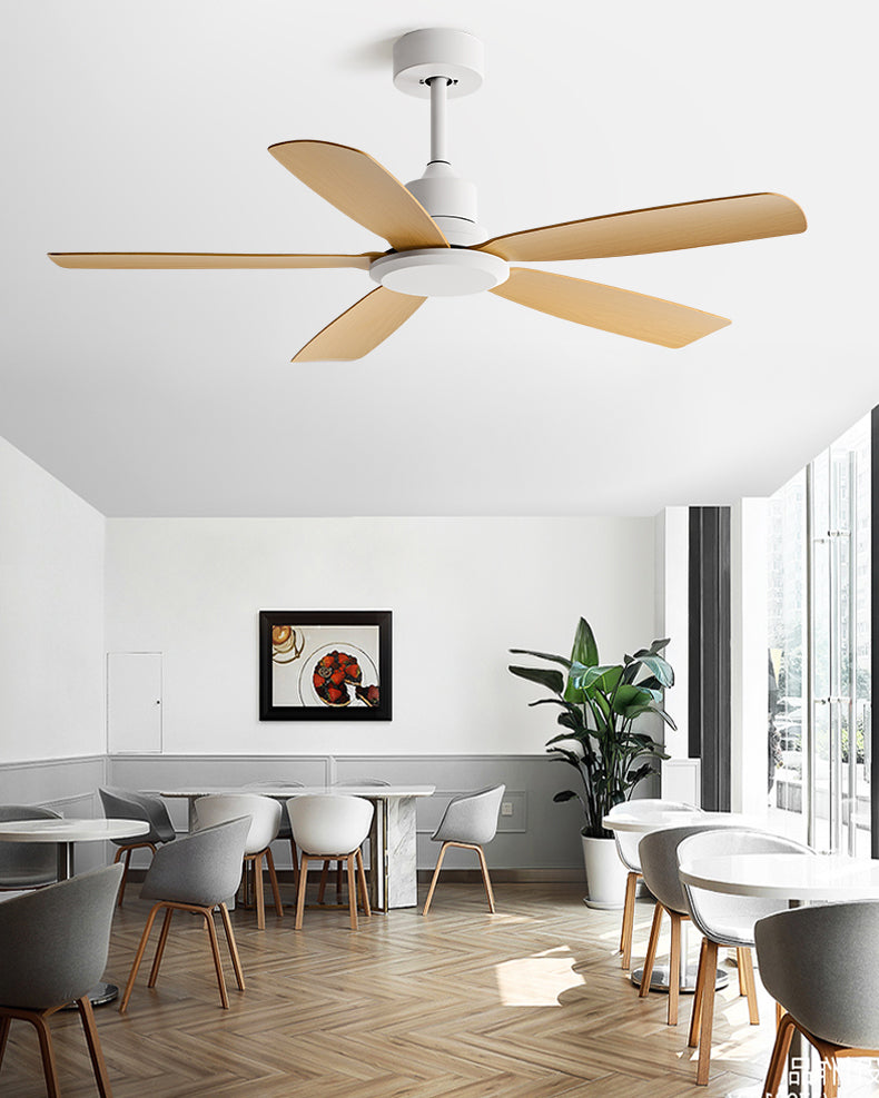 WOMO Modern Ceiling Fan - WM5231