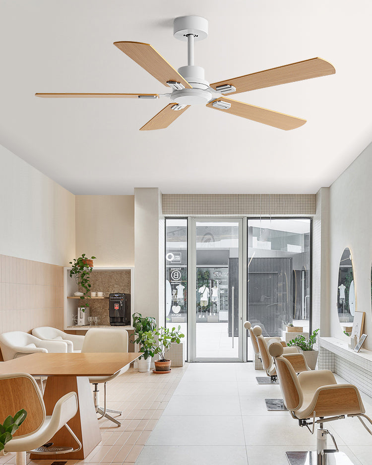 WOMO Modern Ceiling Fan - WM5232